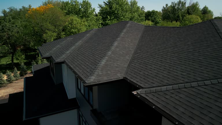 Best Roof Moss and Algae Removal  in Mineola, NY
