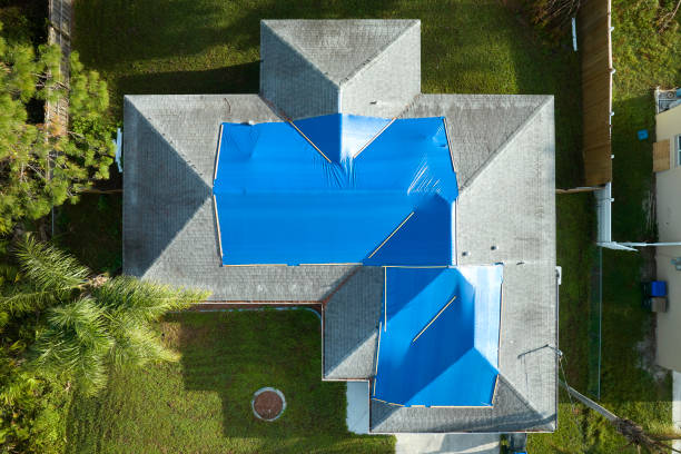 Best Roof Maintenance and Cleaning  in Mineola, NY
